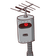 guest