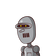 guest