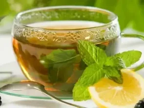 Liver Health, Key Functions, and Body Detoxification