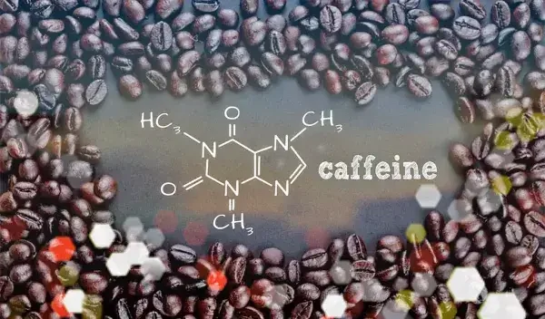 Caffeine Myths