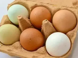 Food and myths, that you don’t know about at the table