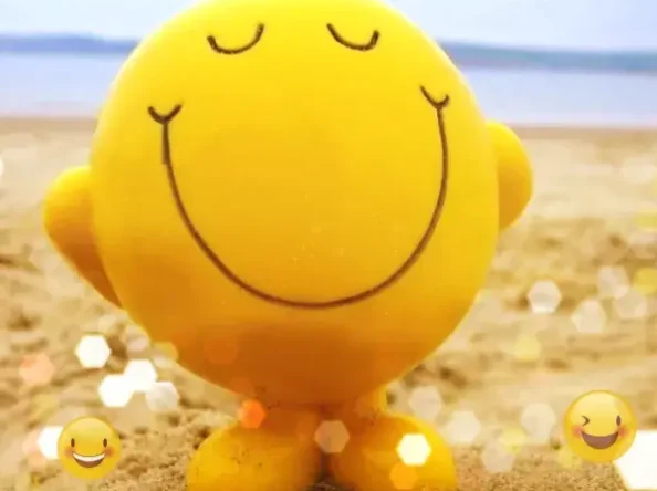 Recipe for Happiness, Unlocking Joy Through Micro-Actions