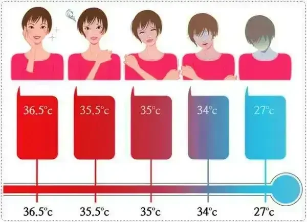 body Temperature