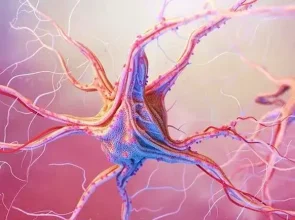 Brain’s Secrets, Incredible Truths About Your Nervous System