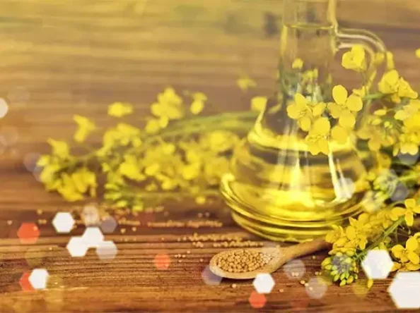 Vegetable Oils or Rapeseed Oil, Versatile Contender
