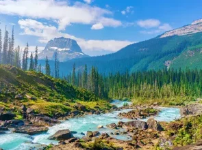 Yellowstone, a natural wonder that is not very safe