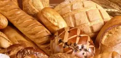 Your-Bread-2.webp
