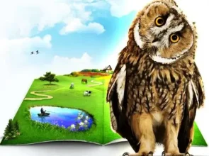 Unusual Owl, reveals the truth behind the myth