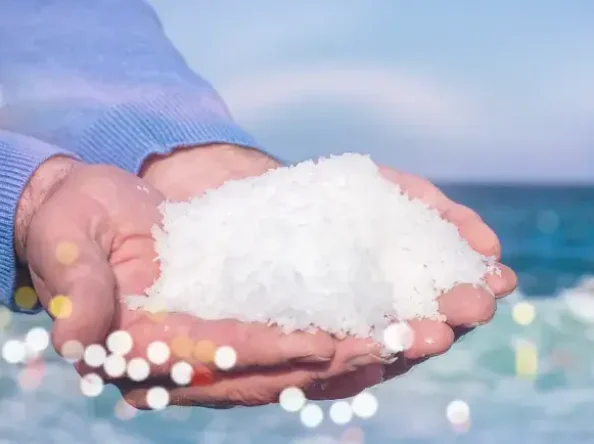 Salt masters, the Cooking, Skillful Uses in Life