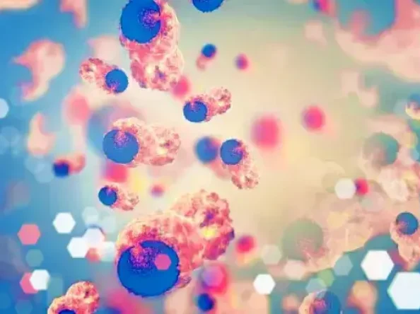 Cancer Mystery, What You Need to Know About  Prevention